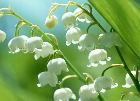 让香味在生活中起到心灵导师的作用这一直是卓玺环保努力的方向。通过卓玺环保孜孜不倦的努力，通过千万客户的共同证明，卓玺环保专业环境香氛，带给您的不止是呼吸的享受，更是自然健康生活的追求，对艺术与美的肯定。它将展现您独一无二的魅力，体现您无与伦比的气质，诠释您奋发的企业文化，让香味与生活融合，处处魅力无穷。